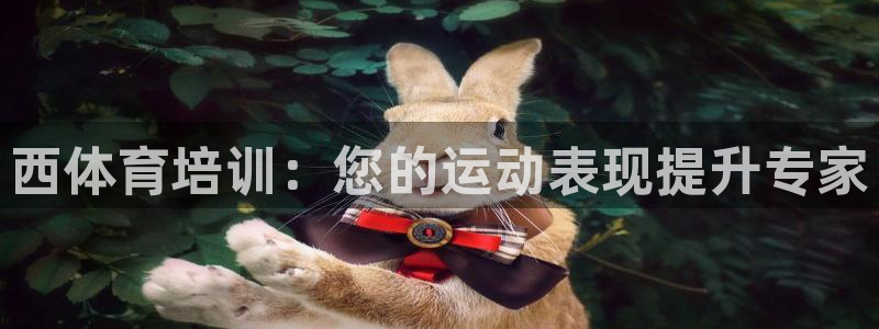 焦点娱乐平台注册账号怎么注销不了：西体育培训：您的运