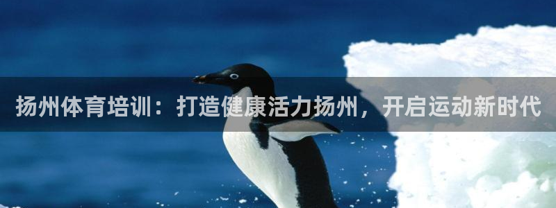 焦点娱乐传媒有限公司招聘电话