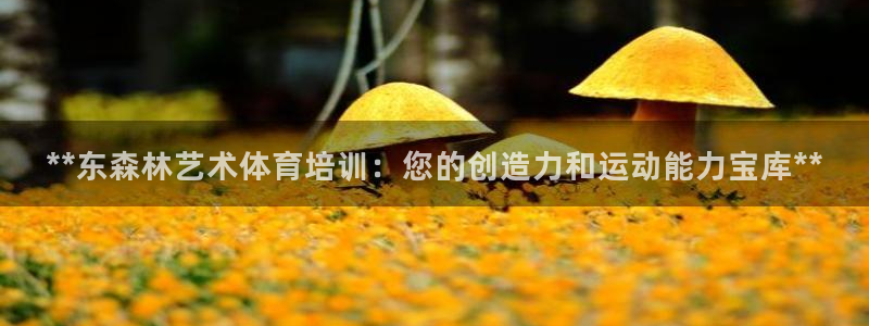 焦点娱乐门徒娱乐骗局：**东森林艺术体育培训：您的创