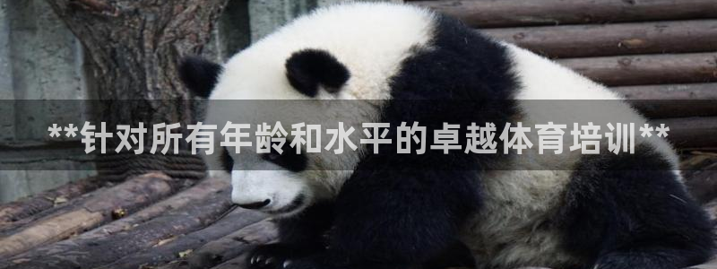 焦点娱乐传媒有限公司官网：**针对所有年龄和水平的卓