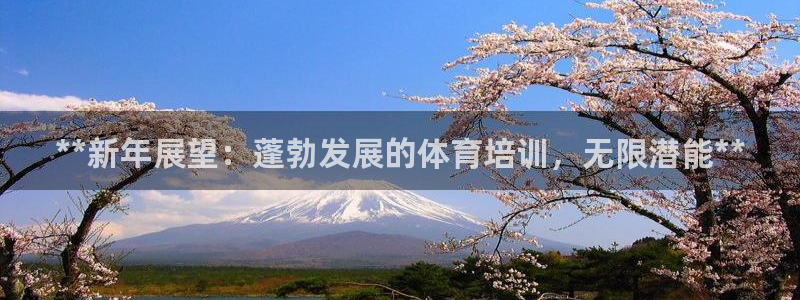 焦点娱乐开发：**新年展望：蓬勃发展的体育培训，无限