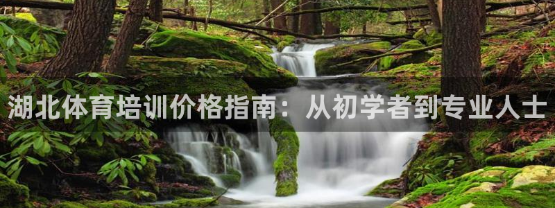 焦点娱乐加速器下载安卓：湖北体育培训价格指南：从初学