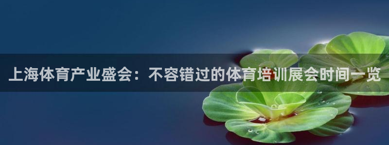 焦点娱乐平台怎么样赚钱：上海体育产业盛会：不容错过的