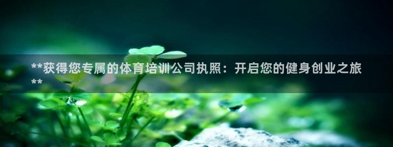 焦点娱乐开发商是谁：**获得您专属的体育培训公司执照