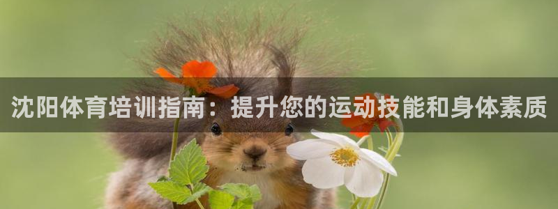 焦点娱乐官网下载安装最新版苹果：沈阳体育培训指南：提