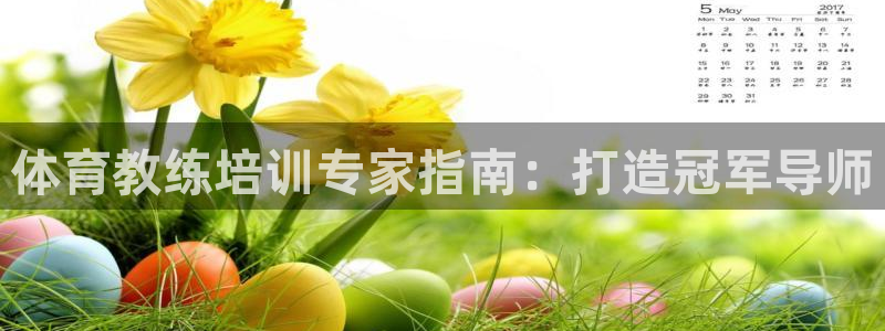 焦点娱乐官方网站首页入口：体育教练培训专家指南：打造