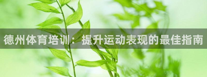 焦点娱乐传媒有限公司怎么样啊知乎：德州体育培训：提升