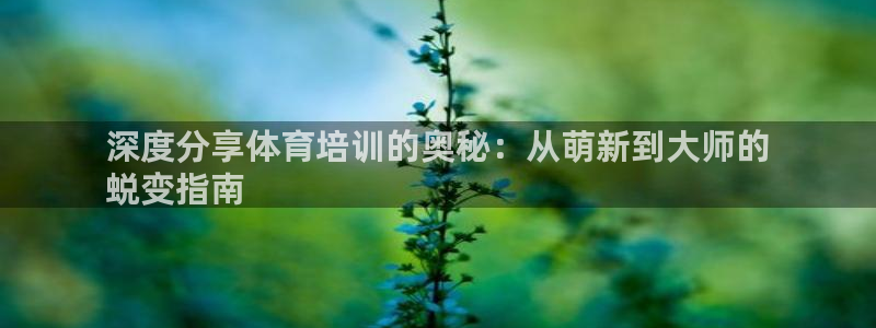 焦点娱乐违法吗：深度分享体育培训的奥秘：从萌新到大师