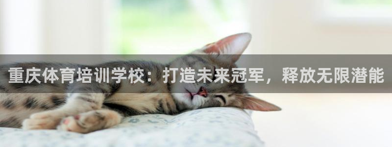 焦点娱乐官网首页入口网址：重庆体育培训学校：打造未来