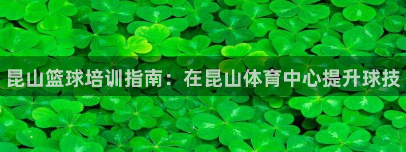 焦点娱乐官网下载安装最新版苹果：昆山篮球培训指南：在