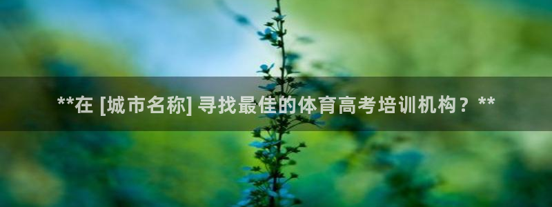 焦点娱乐平台怎么样可靠吗：**在 [城市名称] 寻找