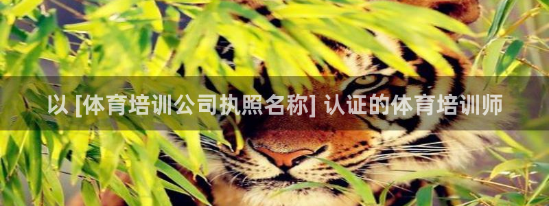 焦点娱乐传媒有限公司官网首页：以 [体育培训公司执照