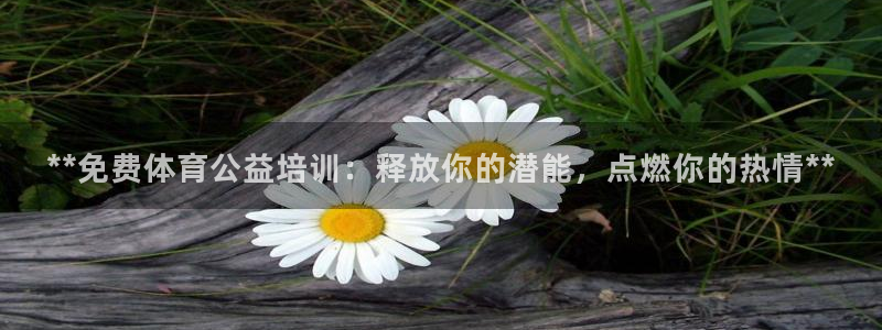 焦点娱乐说说怎么写：**免费体育公益培训：释放你的潜