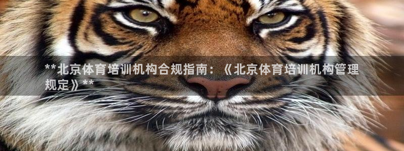 焦点娱乐平台总代理开户怎么样啊：**北京体育培训机构