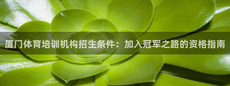 焦点娱乐拉菲11月12日：厦门体育培训机构招生条件：