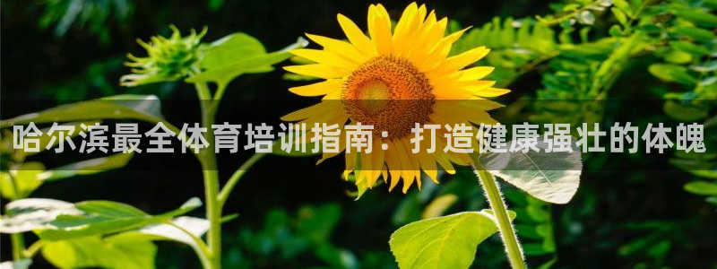 焦点娱乐平台注册账号是什么样的：哈尔滨最全体育培训指
