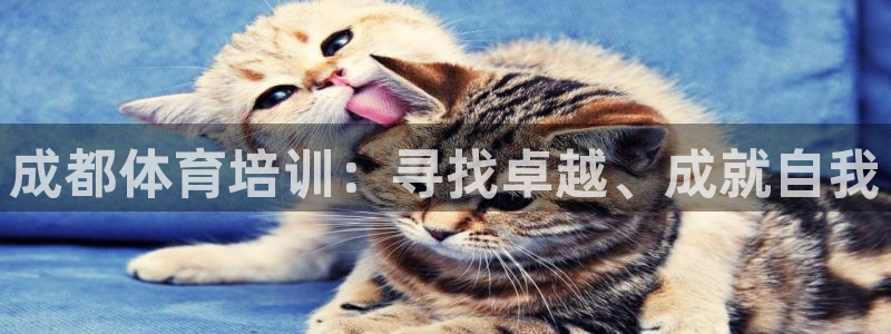焦点娱乐可以解封银行卡吗：成都体育培训：寻找卓越、成