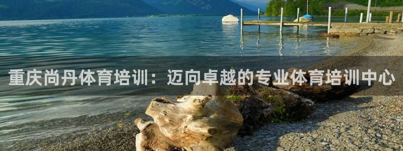 焦点娱乐官网下载安装最新版：重庆尚丹体育培训：迈向卓