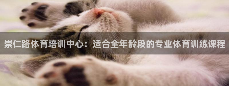 焦点娱乐app下载官网苹果：崇仁路体育培训中心：适合