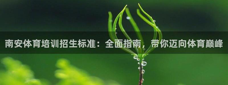 焦点娱乐传媒有限公司怎么样：南安体育培训招生标准：全