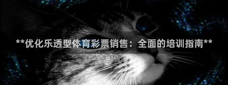 焦点娱乐说说怎么写：**优化乐透型体育彩票销售：全面