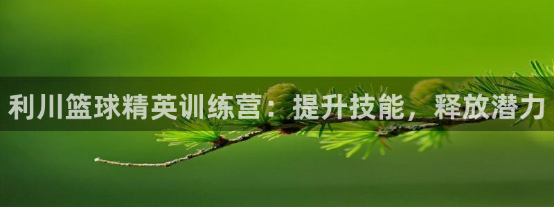 焦点娱乐平台客服电话号码查询：利川篮球精英训练营：提