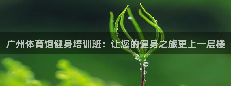 焦点娱乐不出款：广州体育馆健身培训班：让您的健身之旅