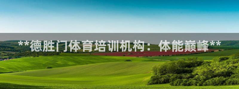 焦点平台娱乐：**德胜门体育培训机构：体能巅峰**