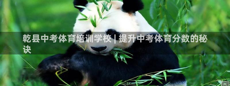 焦点娱乐带你走遍：乾县中考体育培训学校 | 提升中考