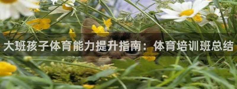 焦点娱乐公司的发展历程简介：大班孩子体育能力提升指南