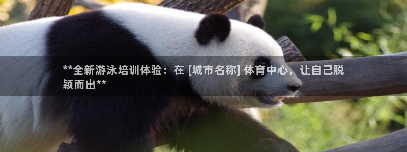 焦点娱乐平台客服电话号码：**全新游泳培训体验：在 