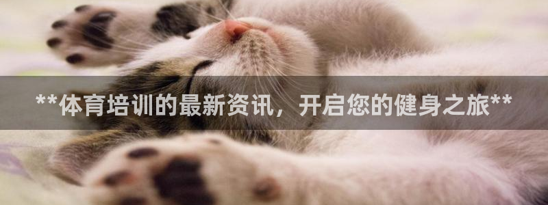 焦点娱乐官网下载安装苹果：**体育培训的最新资讯，开