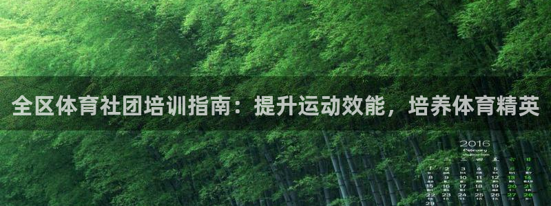 焦点娱乐官方网站下载安装：全区体育社团培训指南：提升