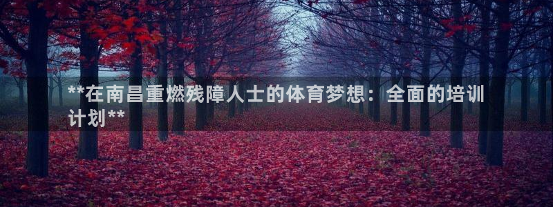焦点娱乐公司简介图片：**在南昌重燃残障人士的体育梦