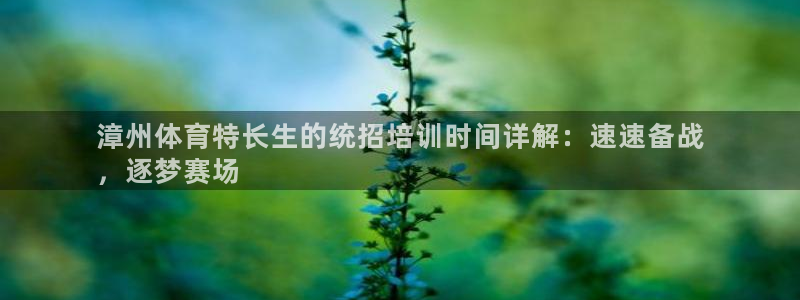 焦点娱乐传媒有限公司招聘电话：漳州体育特长生的统招培