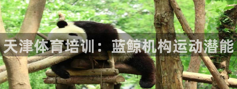 焦点娱乐软件版本：天津体育培训：蓝鲸机构运动潜能