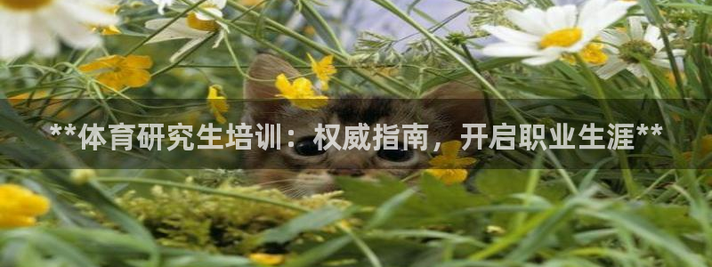 焦点娱乐官网下载：**体育研究生培训：权威指南，开启