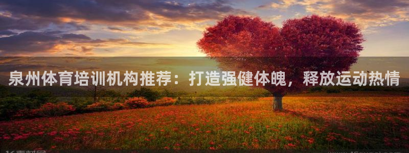 焦点娱乐力 411o31 焦点：泉州体育培训机构推荐