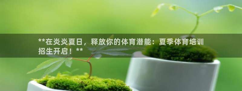 焦点娱乐官方网站下载安装：**在炎炎夏日，释放你的体