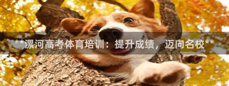 焦点娱乐无法提现到微信：**漯河高考体育培训：提升成
