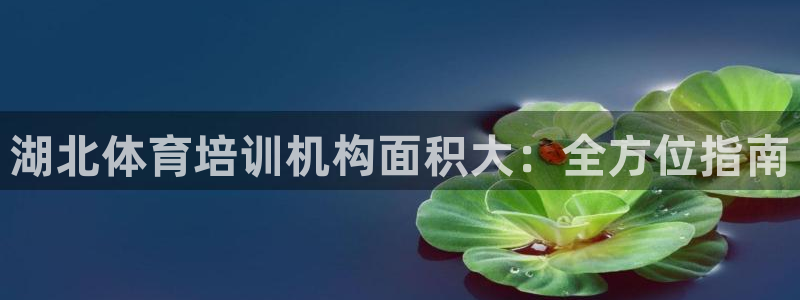 焦点娱乐vs皇族不败神话小说：湖北体育培训机构面积大