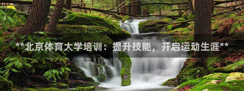 焦点娱乐app下载：**北京体育大学培训：提升技能，