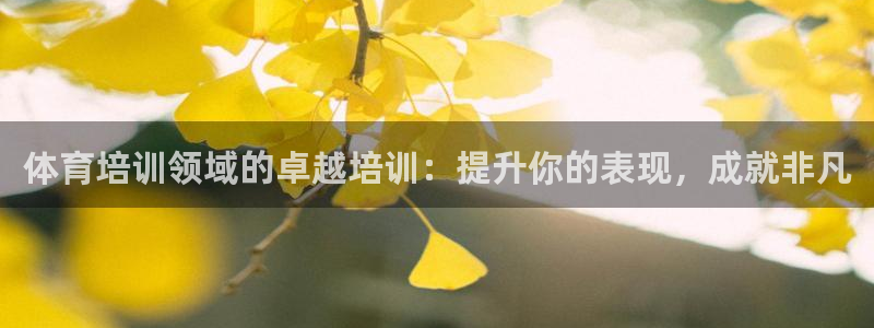 焦点娱乐平台是正规的吗：体育培训领域的卓越培训：提升