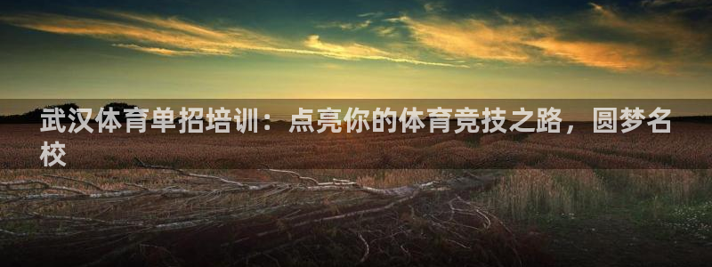 焦点娱乐拉菲10：武汉体育单招培训：点亮你的体育竞技