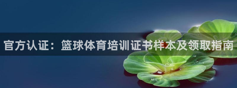 焦点娱乐平台讲7O777：官方认证：篮球体育培训证书