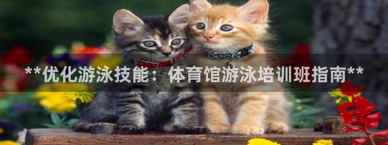 焦点娱乐网站下载地址是多少：**优化游泳技能：体育馆