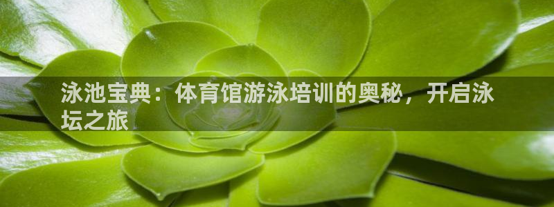 焦点娱乐怎么找：泳池宝典：体育馆游泳培训的奥秘，开启