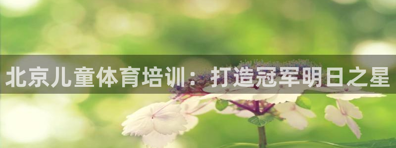 焦点娱乐佳 411O31 焦点：北京儿童体育培训：打