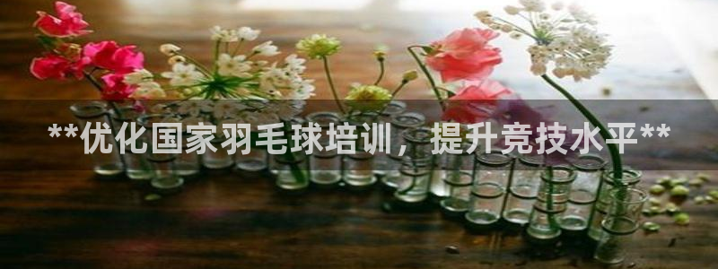 焦点娱乐传媒有限公司招聘要求：**优化国家羽毛球培训