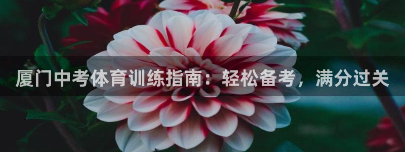 焦点娱乐平台登录不了怎么回事：厦门中考体育训练指南：